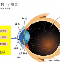 拿什么拯救你，我的双眸！