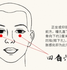 四白穴：明目祛风，面部保健要穴